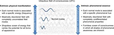 Cosmopsychism and Consciousness Research: A Fresh View on the Causal Mechanisms Underlying Phenomenal States